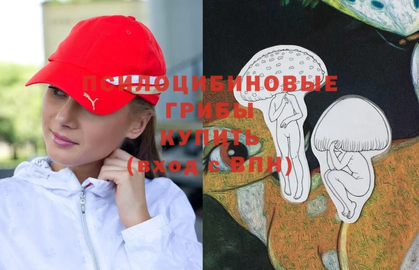 скорость Алексин